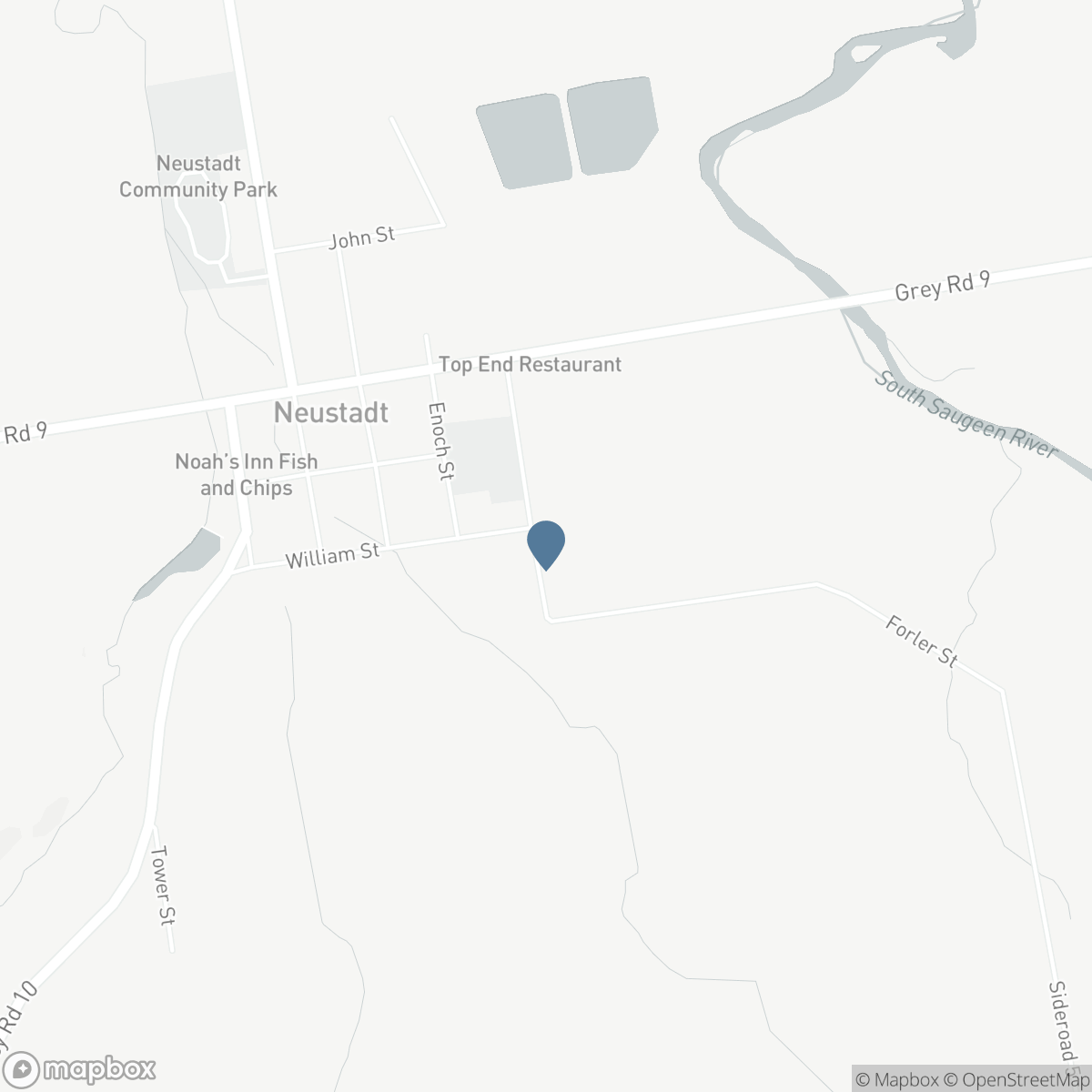 215 FORLER STREET, Neustadt, Ontario N0G 2M0